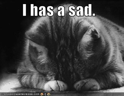 funny-pictures-sad-cat-blackandwhite